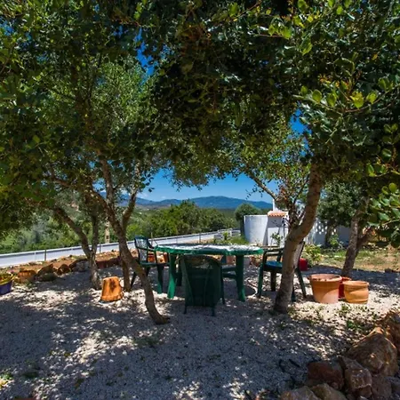 Quinta Velha Authentic Experience By Lovelystay Lejlighed Senhora do Verde
